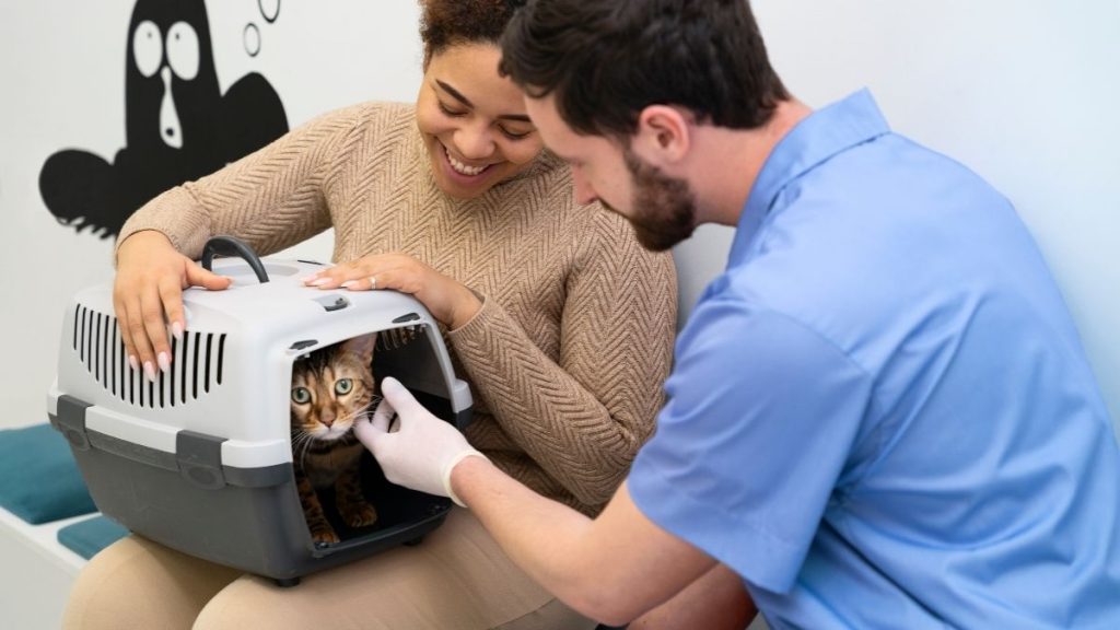 visita al veterinario